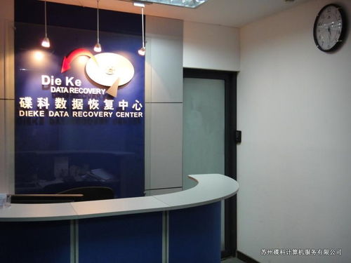 苏州碟科计算机服务 多媒体设计的创新引擎