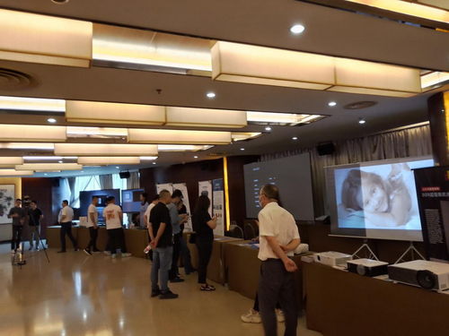 2021视听行业高峰论坛暨万里行全国巡展杭州站顺利召开 多媒体设计服务的创新与发展